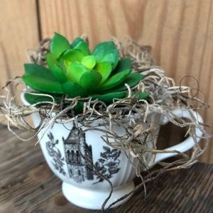 Vintage tea cup with succulent